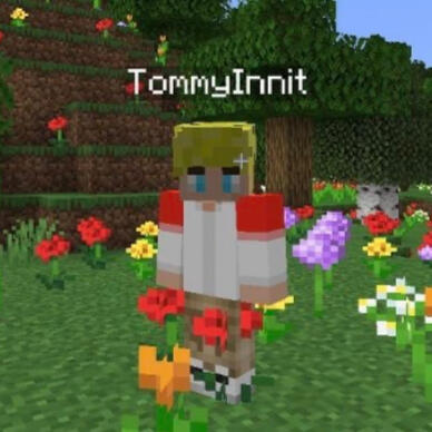 tommyinnt [dsmp]